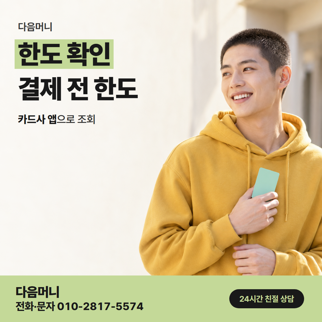 다음머니 산본카드깡 처음 조회해 보는 남은 한도
